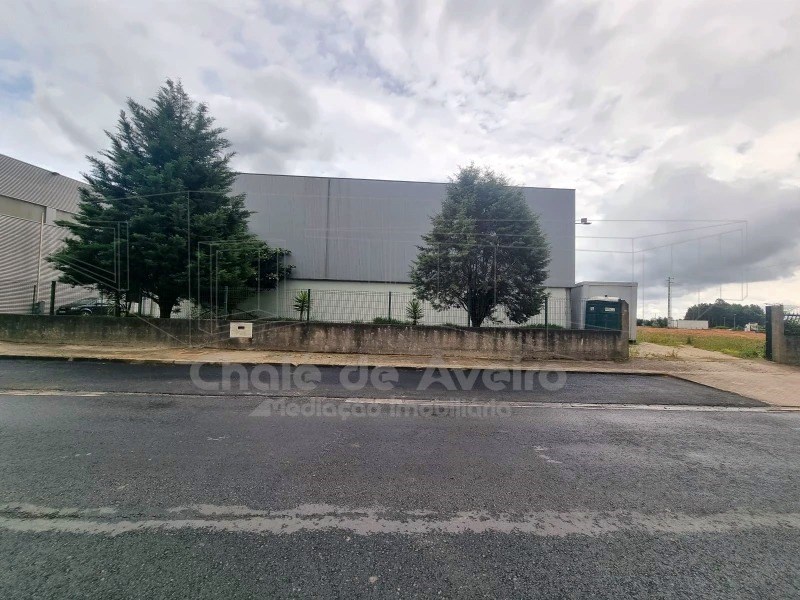 Armaz�m  Para Venda em Albergaria-a-Velha